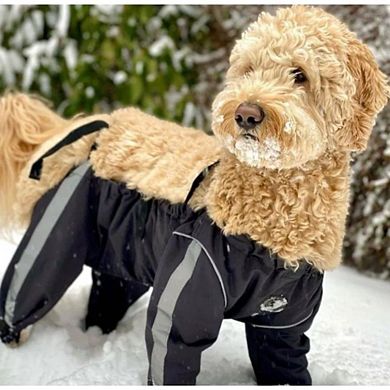 Foufou Dog Bodyguard - Protective All-weather Dog Pants - (medium)
