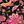 Black Pink Bloom