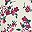 Ivory Multi Delicate