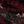 Oxblood