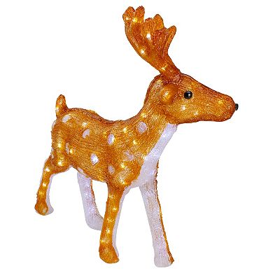 Northlight LED 24 in. Acrylic Mini Reindeer Outdoor Christmas Decoration