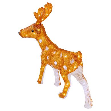 Northlight LED 24 in. Acrylic Mini Reindeer Outdoor Christmas Decoration