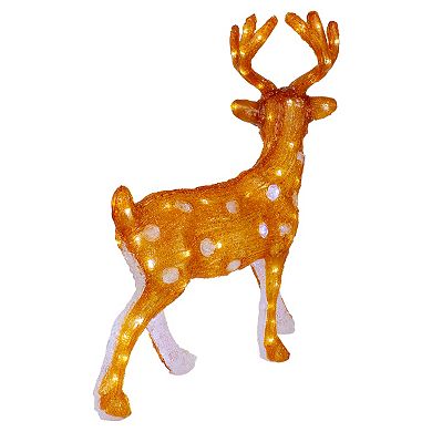 Northlight LED 24 in. Acrylic Mini Reindeer Outdoor Christmas Decoration