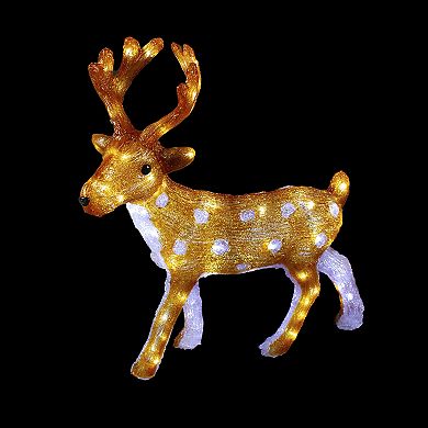 Northlight LED 24 in. Acrylic Mini Reindeer Outdoor Christmas Decoration