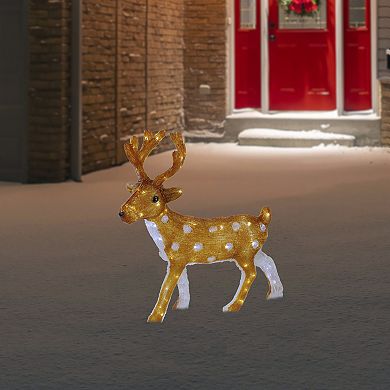 Northlight LED 24 in. Acrylic Mini Reindeer Outdoor Christmas Decoration