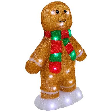 Northlight 14 in. LED Acrylic Gingerbread Man with Scarf Outdoor Christmas Decoration