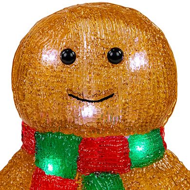 Northlight 14 in. LED Acrylic Gingerbread Man with Scarf Outdoor Christmas Decoration