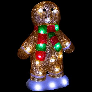 Northlight 14 in. LED Acrylic Gingerbread Man with Scarf Outdoor Christmas Decoration