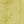 Jojoba Yellow