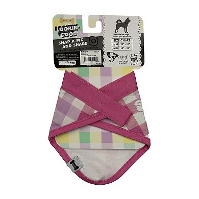 Woof Suns Out Pet Bandana