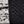 Black Ivory