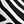 Zebra Waves Black