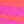Zebra Waves Pink