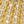 Gold Tone