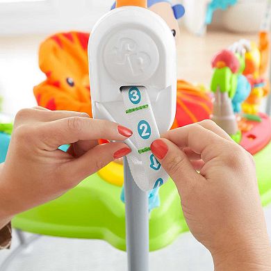 Fisher-Price Baby Bouncer Tiger Time Jumperoo Activity Center