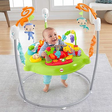 Fisher-Price Baby Bouncer Tiger Time Jumperoo Activity Center
