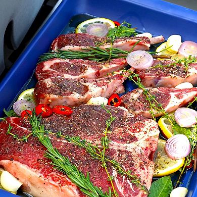 Tovolo Prep & Serve Melamine Marinade Tray