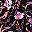 Black Multi Florals