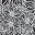 Black Sketch Floral