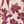 Ivory Claret Floral