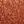 Caramel Brown