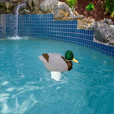 Poolmaster Mallard Swimming Pool & Spa Chlorine Dispenser