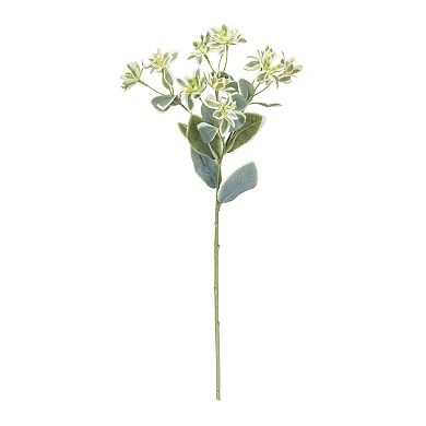 Euphorbia Spray (Set Of 6) 18.5"h Polyester