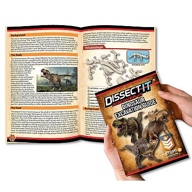 Top Secret Toys Dissect-It: Dino Dig - Discover 3 Dinosaur Skeletons, Hidden Inside A Synthetic T-Rex, STEM