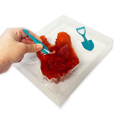 Top Secret Toys Dissect-It: Dino Dig - Discover 3 Dinosaur Skeletons, Hidden Inside A Synthetic T-Rex, STEM