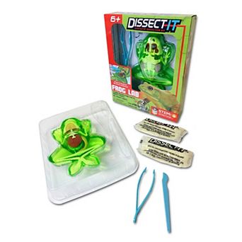 Top Secret Toys Dissect-It: Frog Lab - Synthetic Dissection Kit, Realistic & Safe, STEM