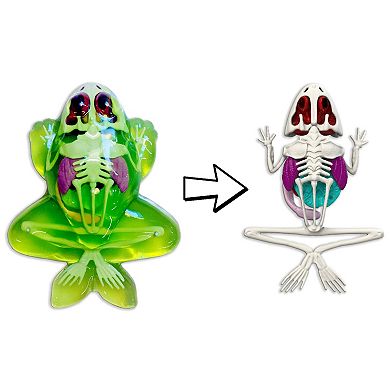 Top Secret Toys Dissect-It: Frog Lab - Synthetic Dissection Kit, Realistic & Safe, STEM