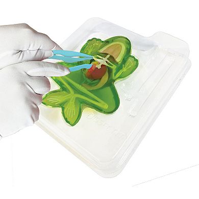 Top Secret Toys Dissect-It: Frog Lab - Synthetic Dissection Kit, Realistic & Safe, STEM