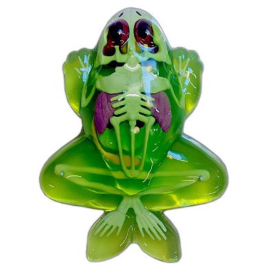 Top Secret Toys Dissect-It: Frog Lab - Synthetic Dissection Kit, Realistic & Safe, STEM