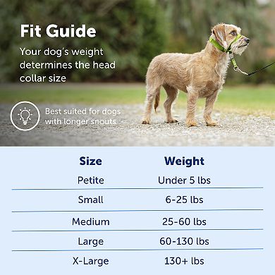 PetSafe® Gentle Leader Headcollar Quick Release Pet Harness