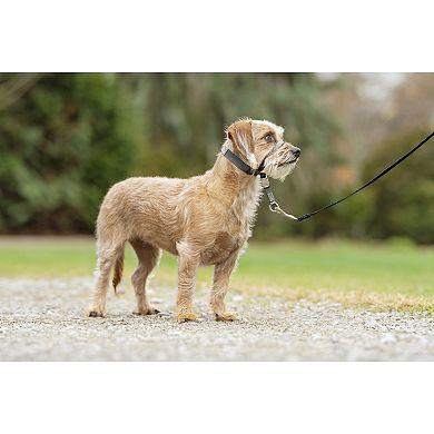 PetSafe® Gentle Leader Headcollar Quick Release Pet Harness