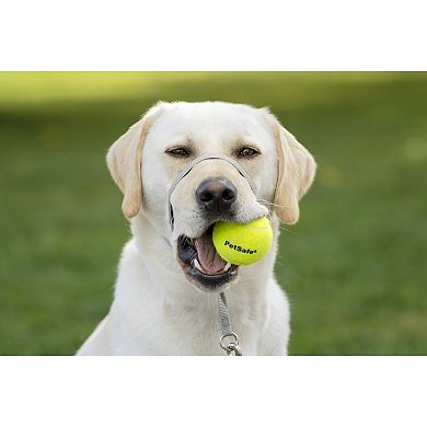 PetSafe® Gentle Leader Headcollar Quick Release Pet Harness