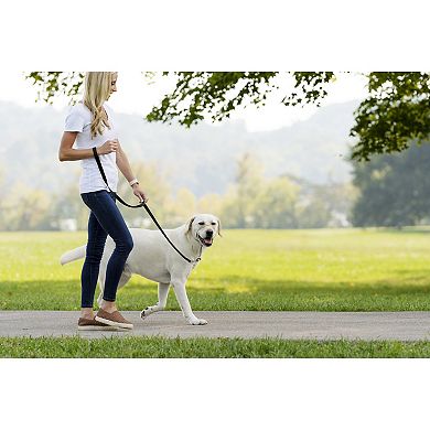 PetSafe® Gentle Leader Headcollar Quick Release Pet Harness