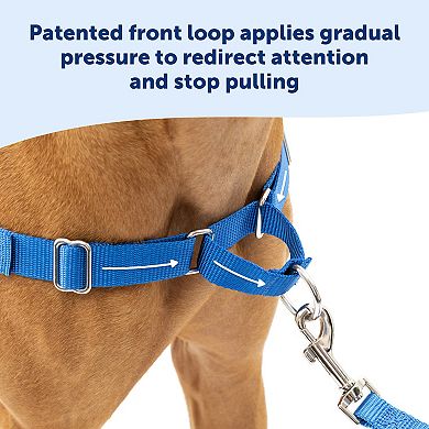 PetSafe® Easy Walk Harness