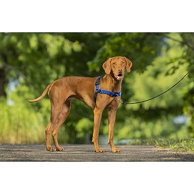 PetSafe® Easy Walk Harness