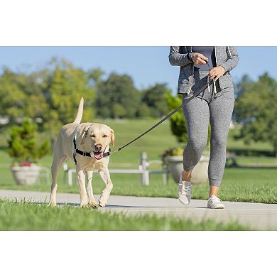 PetSafe® Easy Walk Harness