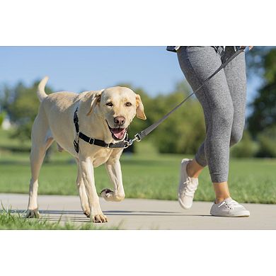 PetSafe® Easy Walk Harness
