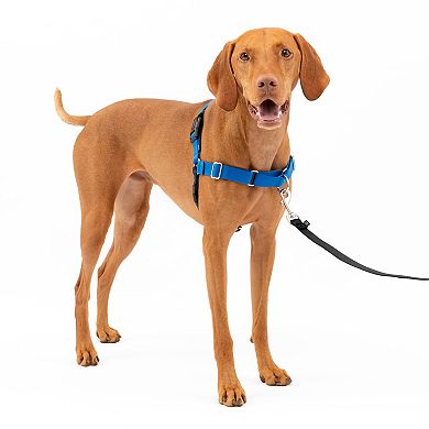 PetSafe® Easy Walk Harness