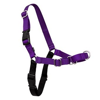 PetSafe® Easy Walk Harness