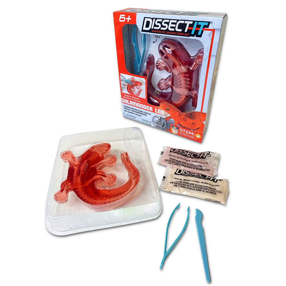 Top Secret Toys Dissect-It: Salamander Lab - Synthetic Dissection Kit ...