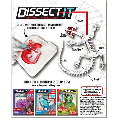 Top Secret Toys Dissect-It: Salamander Lab - Synthetic Dissection Kit STEM Learning Guide