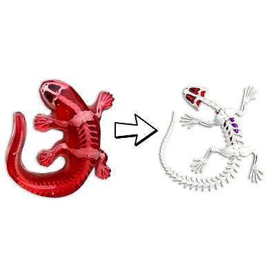 Top Secret Toys Dissect-It: Salamander Lab - Synthetic Dissection Kit STEM Learning Guide