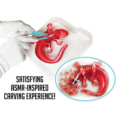 Top Secret Toys Dissect-It: Salamander Lab - Synthetic Dissection Kit STEM Learning Guide