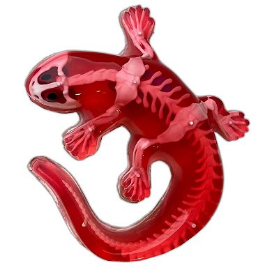 Top Secret Toys Dissect-It: Salamander Lab - Synthetic Dissection Kit STEM Learning Guide