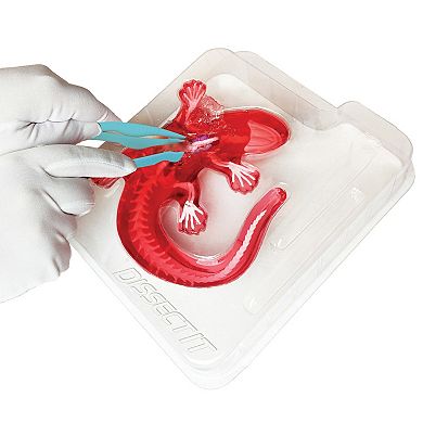 Top Secret Toys Dissect-It: Salamander Lab - Synthetic Dissection Kit STEM Learning Guide