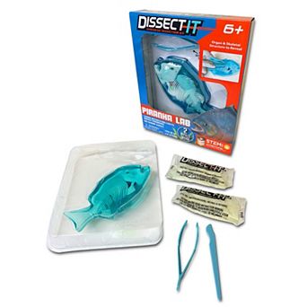 Top Secret Toys Dissect-It: Piranha Lab - Synthetic Dissection Kit, Realistic & Safe, STEM Learning Guide